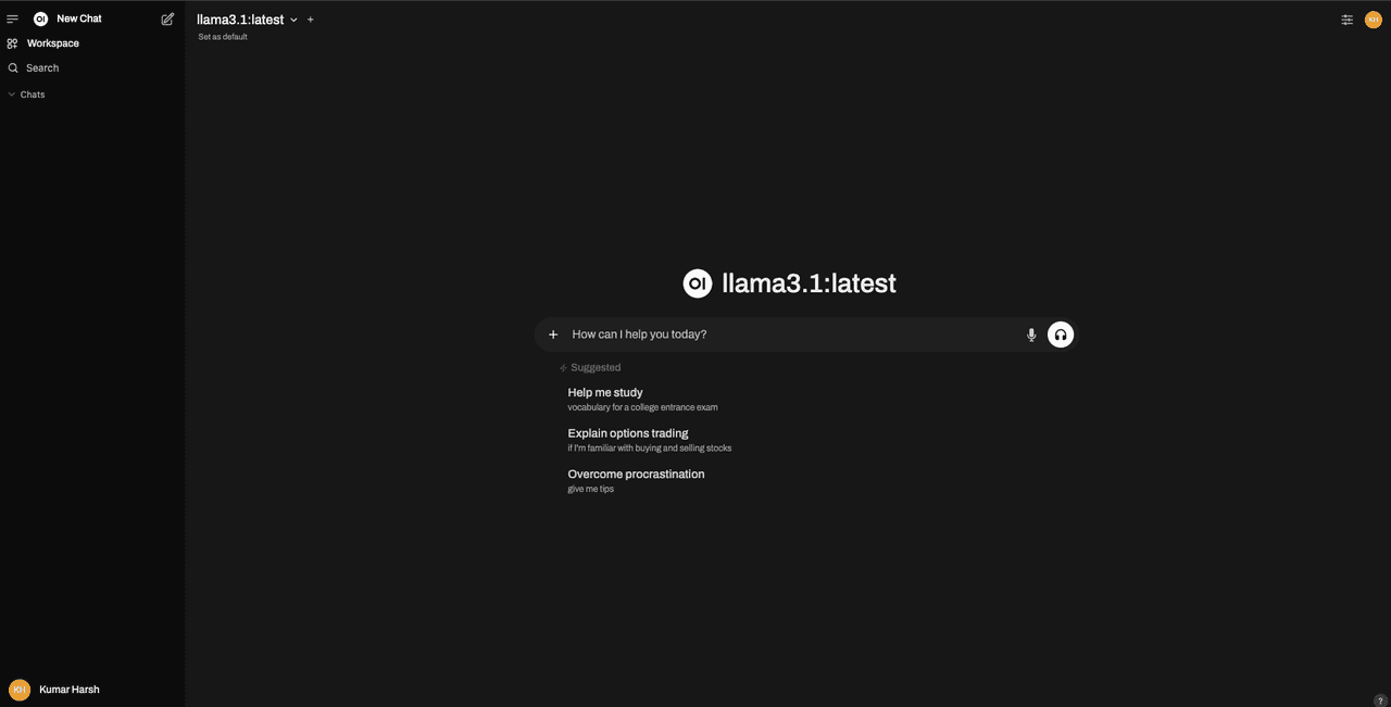 Fig: The Open WebUI chat page