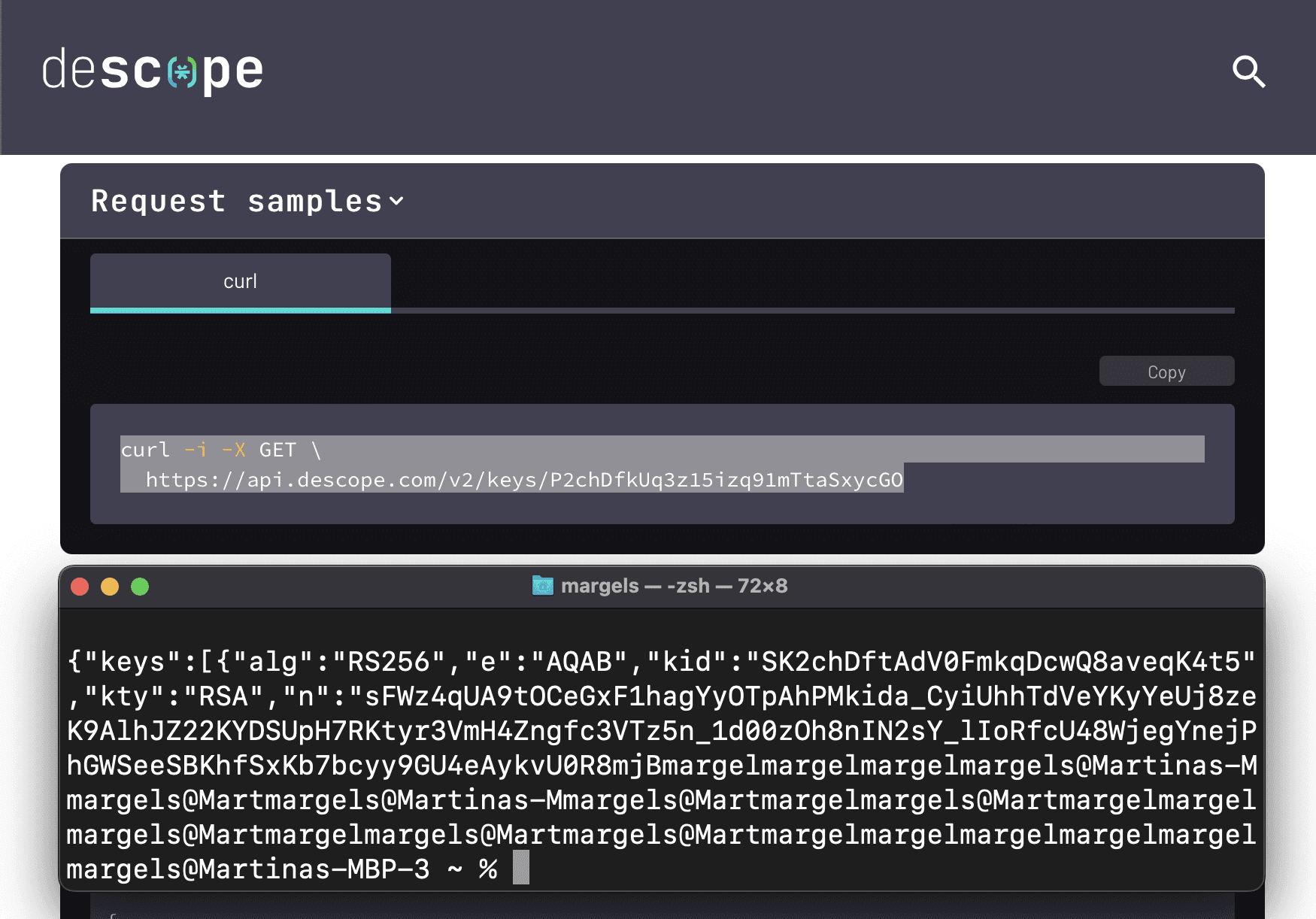 Swift tutorial Descope public key curl