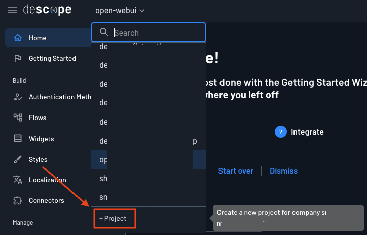 Fig: Creating a new project in Descope