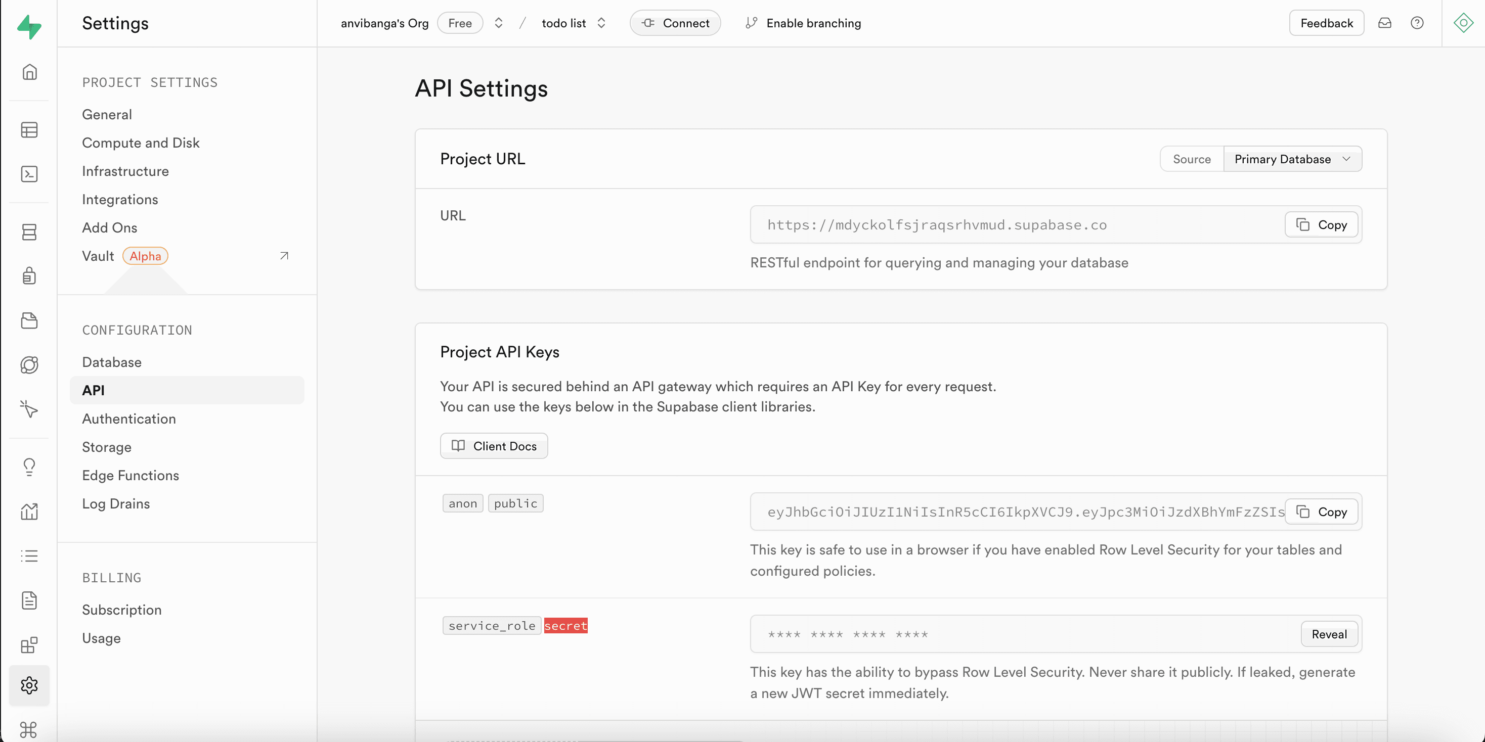 Fig: Supabase API settings